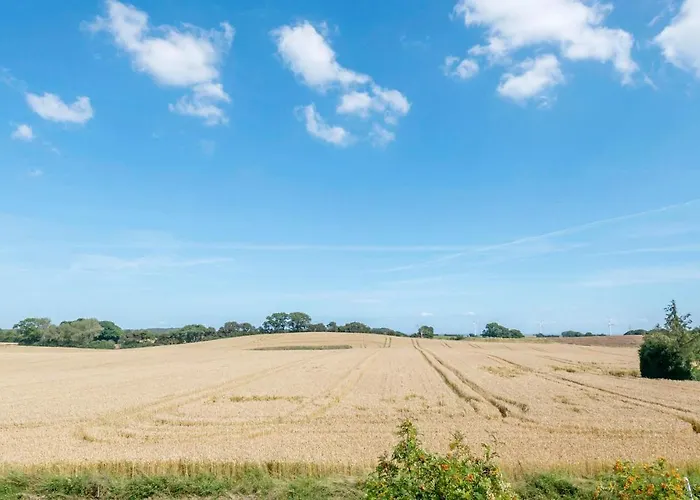 بيت للعطل Stunning In With Wifi *